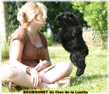 Elevage du CLOS DE LA LUETTE - COPYRIGHT DEPOSE